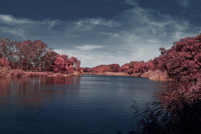  infrared (2)